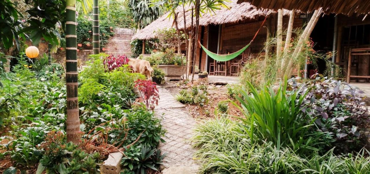 Family Homestay Ba Vi Dış mekan fotoğraf