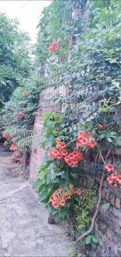 Family Homestay Ba Vi Dış mekan fotoğraf