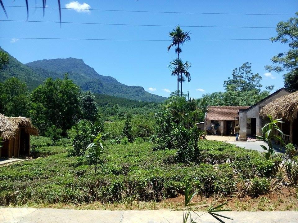 Family Homestay Ba Vi Dış mekan fotoğraf