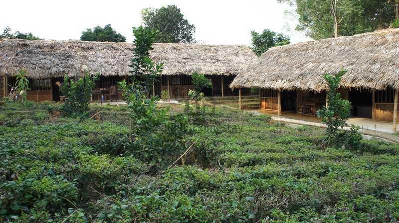 Family Homestay Ba Vi Oda fotoğraf
