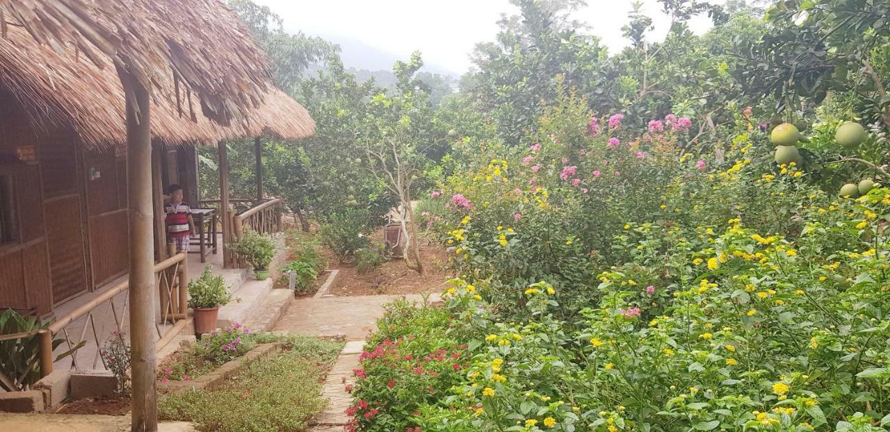Family Homestay Ba Vi Dış mekan fotoğraf