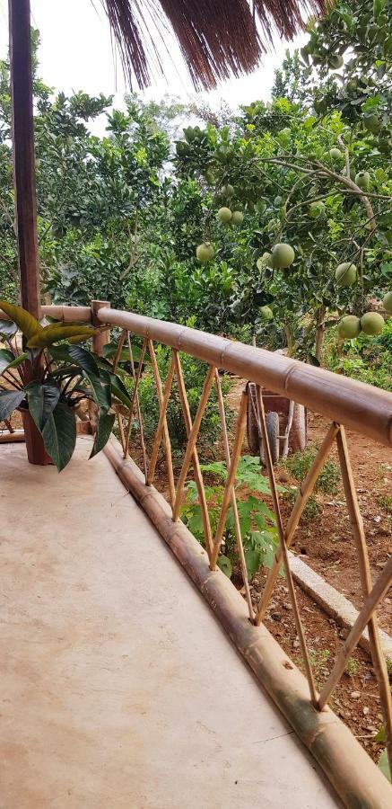 Family Homestay Ba Vi Dış mekan fotoğraf