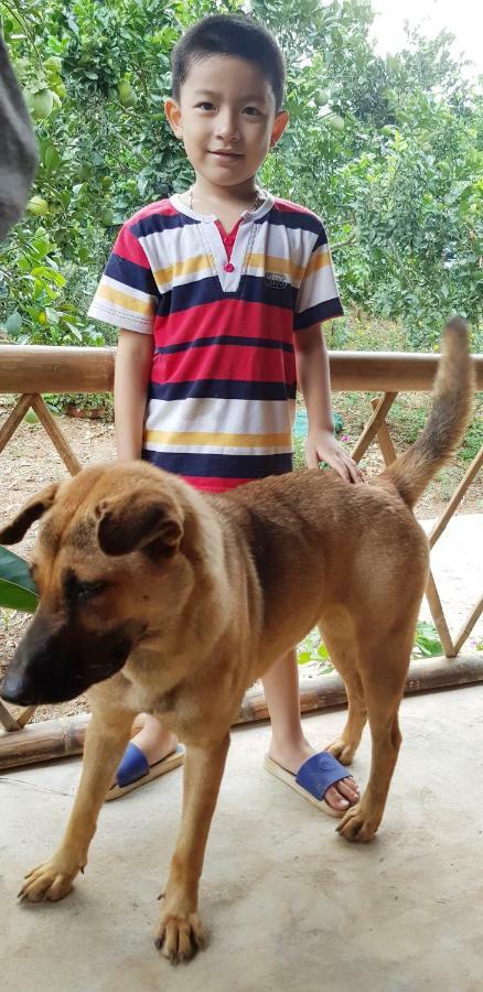Family Homestay Ba Vi Dış mekan fotoğraf
