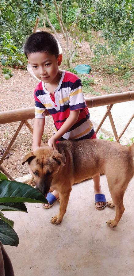 Family Homestay Ba Vi Dış mekan fotoğraf